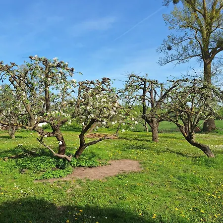 Apartmán Wegorzewo- Nad Stawem Węgorzewo