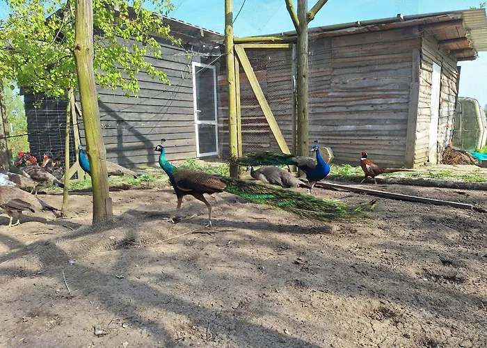 아파트 Wegorzewo- Nad Stawem