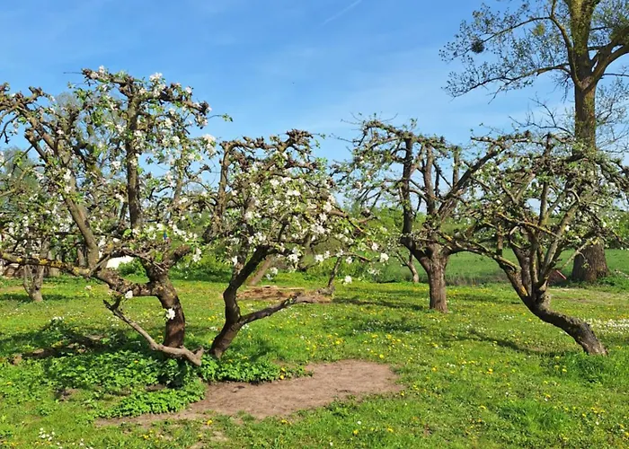 아파트 Wegorzewo- Nad Stawem 베고르제포